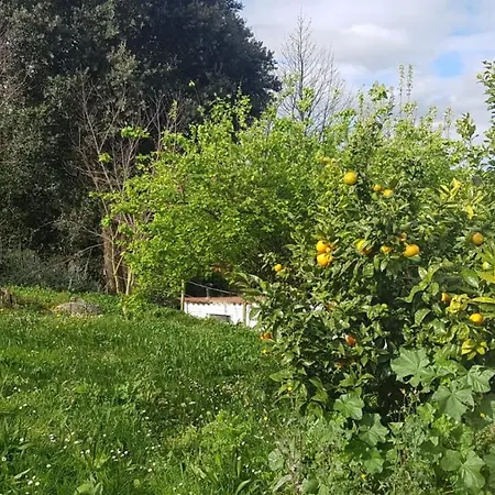 El Prau Casa de Férias