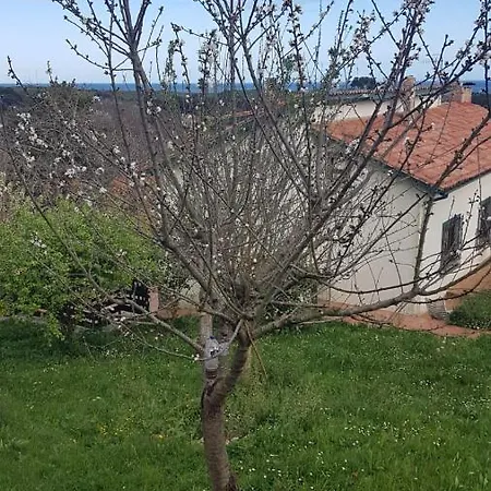 El Prau Casa de Férias *